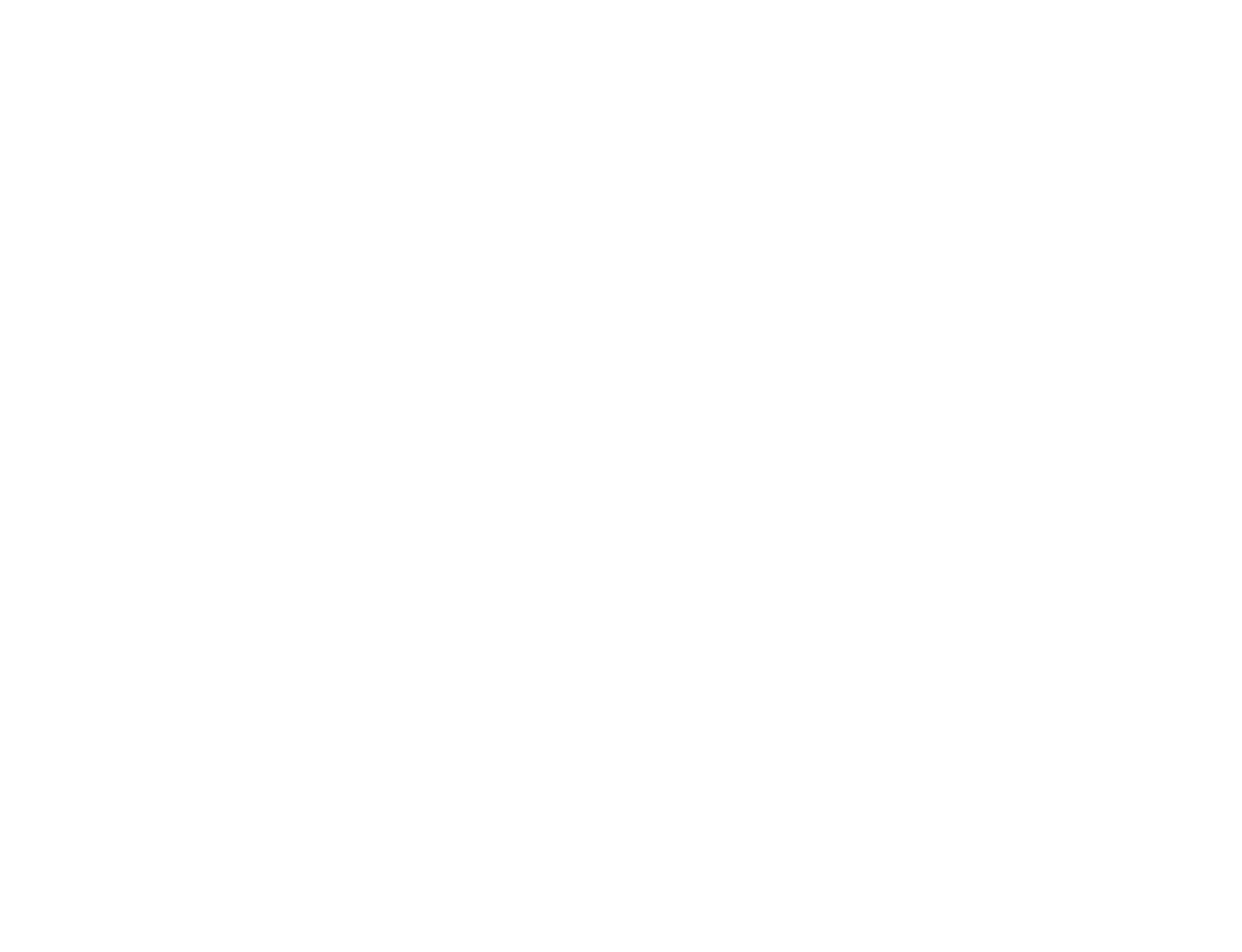 Logo Raceville Branco